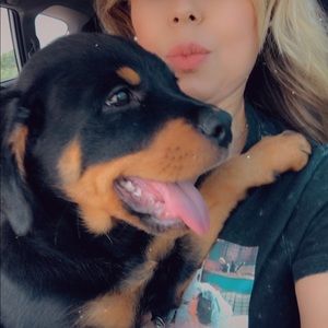 Meet your Posher, Elizabeth